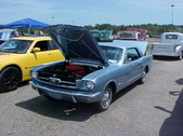 Enlarge photo 2981