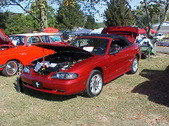 Enlarge photo 4835
