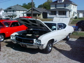 Enlarge photo 4954