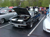 Enlarge photo 631