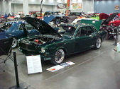 Enlarge photo 181