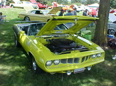 Enlarge photo 1749
