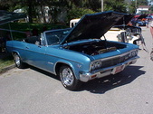 Enlarge photo 2570