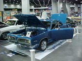 Enlarge photo 314