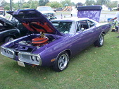 Enlarge photo 3530