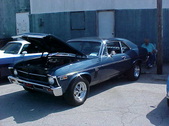 Enlarge photo 4392