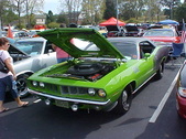 Enlarge photo 4659