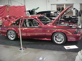 Enlarge photo 231