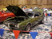 Enlarge photo 49