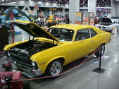 Enlarge photo 313