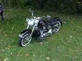 Enlarge photo 3066