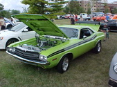 Enlarge photo 3795