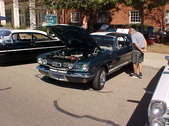 Enlarge photo 4597