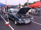 Enlarge photo 4629