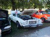Enlarge photo 4973