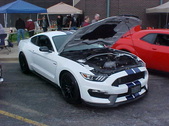 Enlarge photo 509