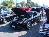 Enlarge photo 5135