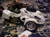 Enlarge photo 71