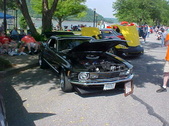 Enlarge photo 972