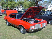Enlarge photo 4995