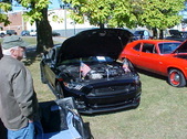 Enlarge photo 5019
