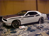 Enlarge photo 47