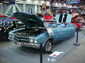 Enlarge photo 282