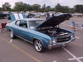 Enlarge photo 4803