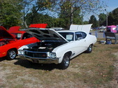 Enlarge photo 4828