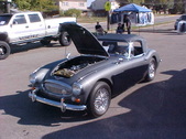 Enlarge photo 5186
