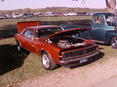 Enlarge photo 5254