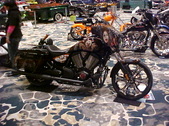 Enlarge photo 67