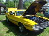 Enlarge photo 1021