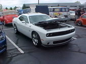 Enlarge photo 594