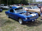 Enlarge photo 3762
