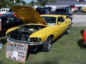 Enlarge photo 4209