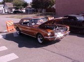 Enlarge photo 4478