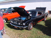 Enlarge photo 5305