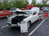 Enlarge photo 593