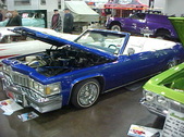 Enlarge photo 109