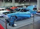 Enlarge photo 223