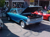 Enlarge photo 4561