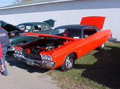 Enlarge photo 5306