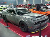 Enlarge photo 276