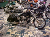 Enlarge photo 63