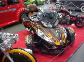Enlarge photo 87