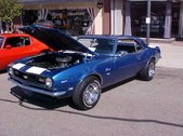 Enlarge photo 4587