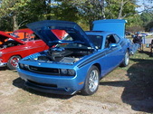 Enlarge photo 4823