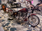 Enlarge photo 61