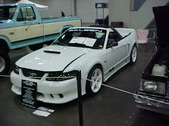 Enlarge photo 169